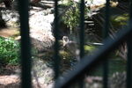 DSC_6935.JPG